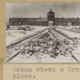 Obóz koncentracyjny Auschwitz-Birkenau (1945). Źródło: Polona