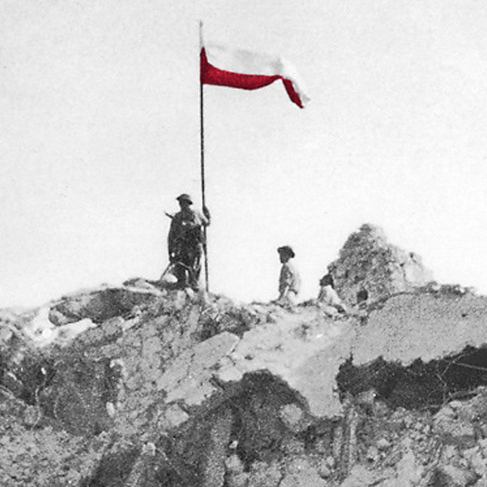 As Papoulas Vermelhas no Monte Cassino ilustração